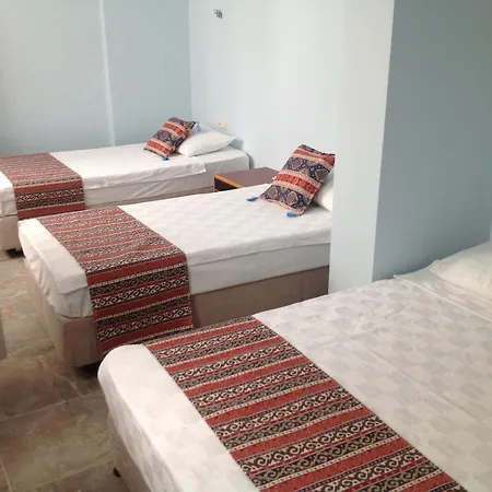 فندق مبيت وإفطار Ephesian Hotel & Guesthouse